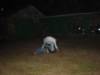 DSC04023.JPG