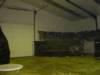DSC03661.JPG