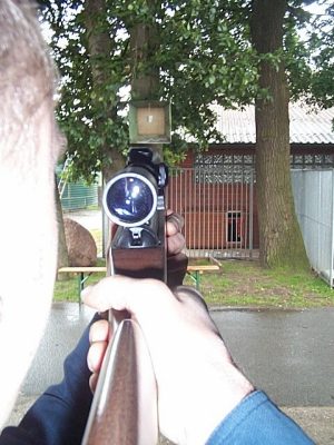 luftgewehr.jpg (34371 Byte)