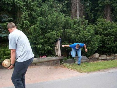 vogelstangefaellen2.jpg (35545 Byte)